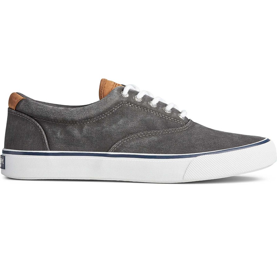 Sneakers | Sperry Sneakers Striper Ii Cvo Sneaker