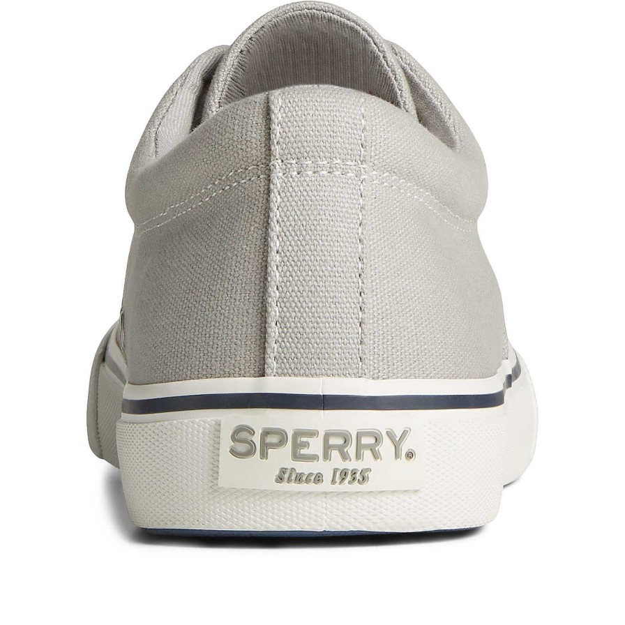 Sneakers | Sperry Sneakers Striper Ii Canvas Cvo Sneaker